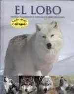 EL LOBO.