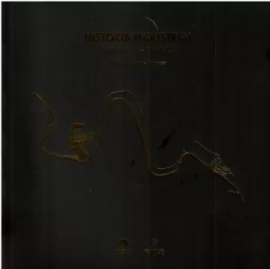 HISTORIA INDUSTRIAL VIDÁN-LARAÑO