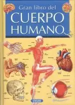 CSE.CUERPO HUMANO