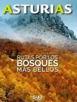 ASTURIAS.RUTAS POR LOS BOSQUES MAS BELLOS
