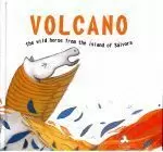 VOLCANO.THE WILD HORSE FROM THE ISLAND OF SALVORA