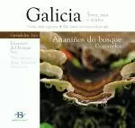 ANANIÑOS DO BOSQUE,COGOMELOS