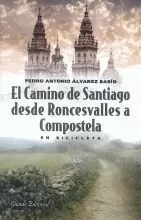 EL CAMINO DE SANTIAGO DESDE RONCESVALLES EN BICICLETA